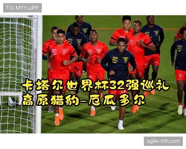 厄瓜多尔2026世界杯阵容预测:高原之鹰能否再现黑马本色